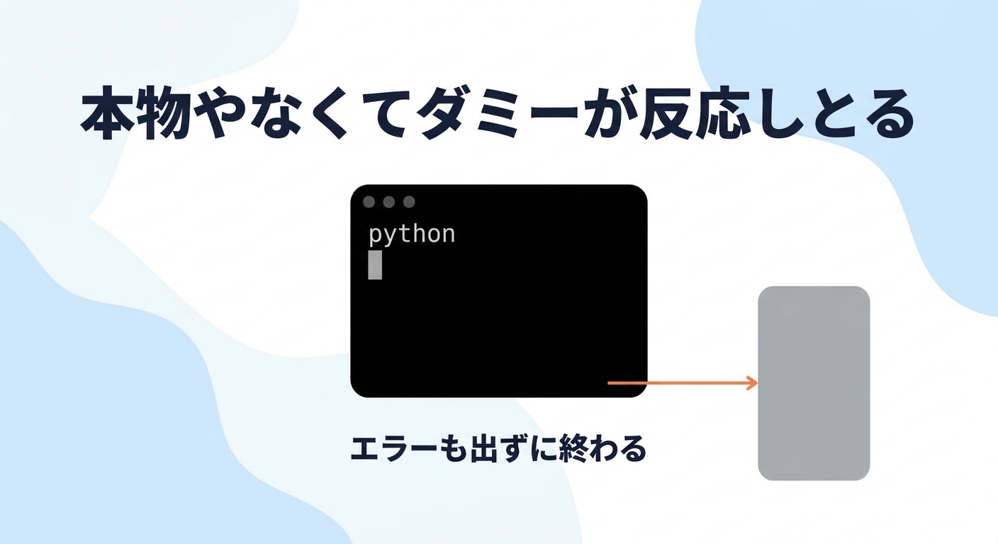 pythonと打った黒い画面がエラーも出さず終わり、本物ではなくダミーが反応している様子